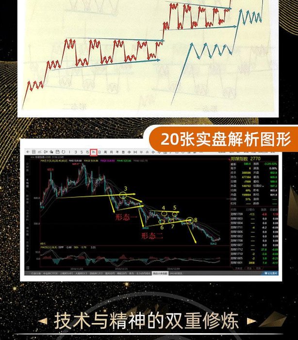 期貨交易盈利策略黃金交易盈利策略期權實戰入門精通數字貨幣書籍