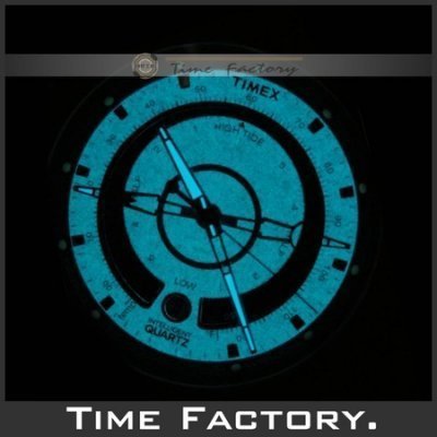 【時間工廠】全新 TIMEX 天美時 美國知名品牌 EXPEDITION 大錶徑羅盤探險錶 T2N723