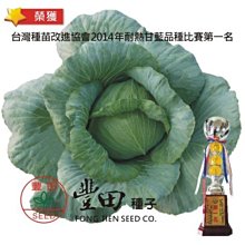 【野菜部屋~】E39 夏天甘藍種子10粒 , 耐熱高麗菜冠軍品種 , 高溫結球性好 , 口感佳 , 每包15元~