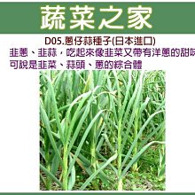 【蔬菜之家滿額免運00D05】大包裝.蔥仔蒜種子10克※此商品運費請選宅配貨運※