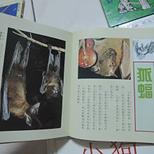 商品縮圖-5