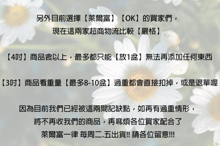 心栽花坊-暖地小藍莓/藍莓/6吋盆/平地品種/水果苗/售價450特價350