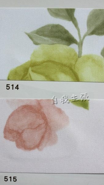 ＊╮自我主張窗簾坊╭＊進口彩色印花捲簾diy60/才~完美鄉村風~