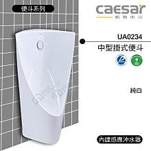 附發票 含稅 CAESAR凱撒 內建感應沖水器中型掛式便斗 UA0234 純白《中部免運》【東益氏】