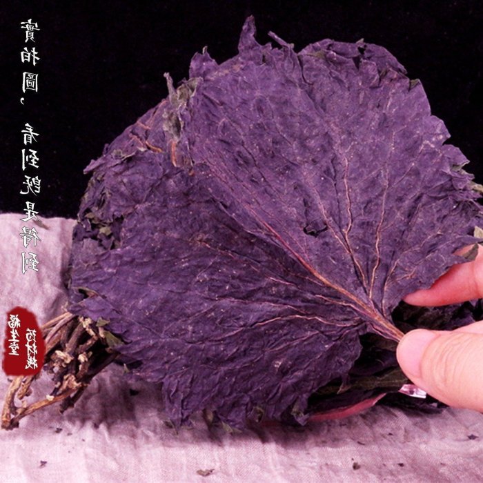 阿宓鋪子 新鮮正宗野生紫蘇葉干天然蘇子葉干泡茶食用香料500g