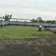 元茂園藝 各式園藝綠化工程服務 植草整地種樹驗收櫻花茶花桂花七里香綠籬笆，標價為20坪草皮自取價