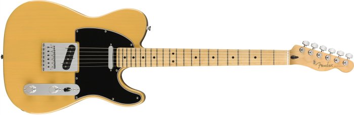 【硬地搖滾】分期0利率，Fender Player Telecaster 單單 電吉他 楓木指板 有多種顏色