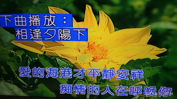 寄賣二手流當金嗓卡拉OK 伴唱機 點唱機 點歌機 金嗓 CPX-900(新上架)