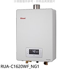 《可議價》林內【RUA-C1620WF_NG1】16公升強制排氣FE式熱水器天然氣(全省安裝)(王品牛排餐券1張)