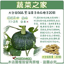 【蔬菜之家滿額免運00G68】大包裝.黑海栗子南瓜種子20顆(F1,生長強勢；低溫生長旺盛)※不適用郵寄掛號※