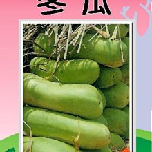 【野菜部屋~蔬菜種子】K13 冬瓜種子1兩 , 果皮綠色 , 肉白 , 品質好 , 每包300元 ~