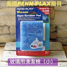 微笑的魚水族☆美國PENNPLAX-龐貝【玻璃用清潔棉(小) 7.5*10cm】WZP1
