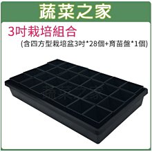 【蔬菜之家滿額免運005-D110】3吋栽培組合(含四方型栽培盆3吋*28個+育苗盤*1個)