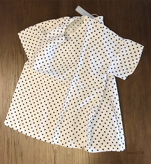 ｜The Dood Life｜chambre de nimes INNOCENT INC. / 涼爽亞麻 波卡點點 簡約感設計襯衫 blouse