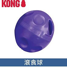 美國KONG Treat Ball 滾食球(PE4)~抗憂鬱玩具~可搭配零食使用 貓玩具