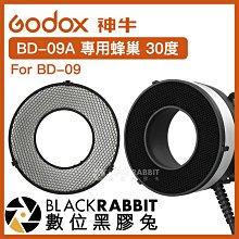 數位黑膠兔【 Godox 神牛 BD-09A 專用蜂巢 30度 For BD-09 】 閃光燈 補光燈 棚燈 蜂巢罩