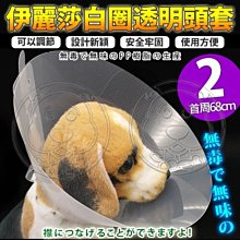 【🐱🐶培菓寵物48H出貨🐰🐹】dyy》伊麗莎白圈透明頭套2號68cm 特價149元 限宅配(蝦)