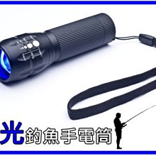 美國CREE Q5藍光.黃光手電筒4000mAh保護版大全配只賣400元/登山露營車燈釣魚巡山夜遊