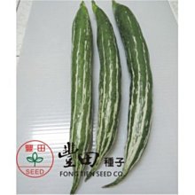 【野菜部屋~】K47 奇祥蛇瓜種子30粒 , 食用兼觀賞都很適合,每包180元~