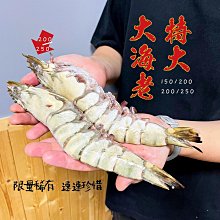 ㊣盅龐水產◇海草蝦150/200◇重量320g±5%/包(2入/包)(包冰10%)◇零$580元/包◇聚會必備 大草蝦