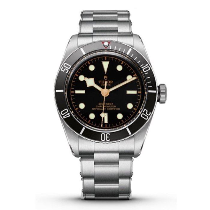 TUDOR M79230N-0009 BLACK BAY 帝舵 機械錶 41mm 黑面盤 M79230N