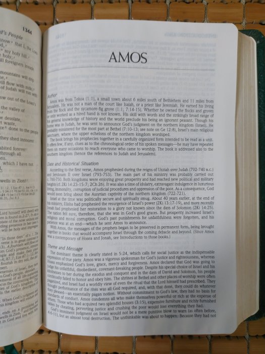 不二書店   the niv study bible 美國印刷 三面刷金 英文原文聖經