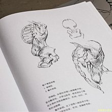 【福爾摩沙書齋】伯里曼人體結構繪畫教程（鉆石版）