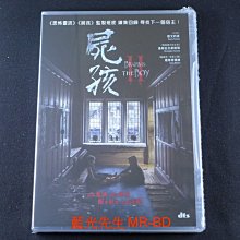 DTS [藍光先生DVD] 託陰2：布拉姆回來了 ( 屍孩2 ) Brahms: The Boy II