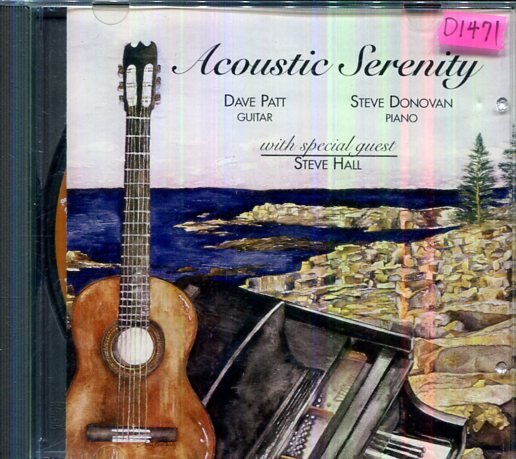 *還有唱片行四館* DAVE PATT / ACOUSTIC SERENITY 二手 D1471