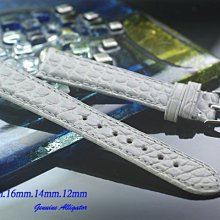 【時間探索】進口純正鱷魚皮高級錶帶灰白色 ( 18mm.16mm.14mm.12mm)