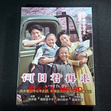 [DVD] - 何日君再來 When Will You Return ( 天空正版)