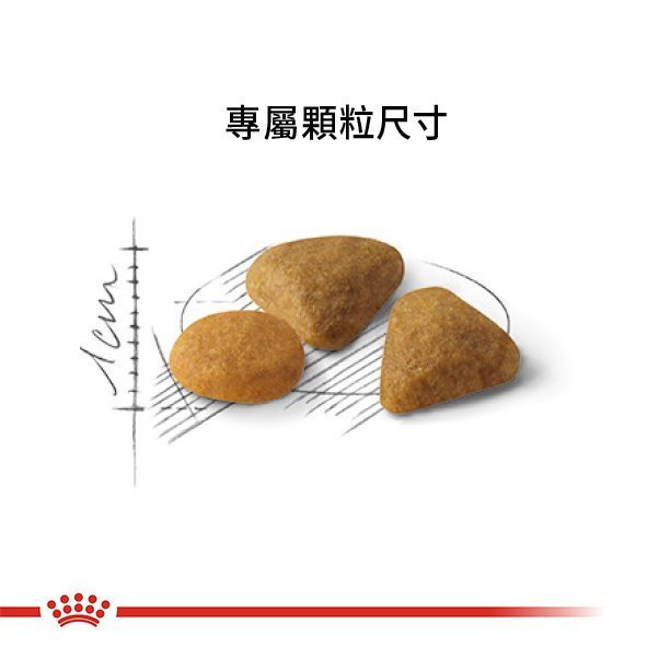 ◇帕比樂◇法國皇家貓飼料-離乳貓2KG，BC34