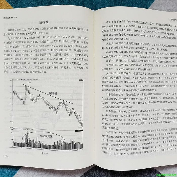股票技術分析全書（新版）