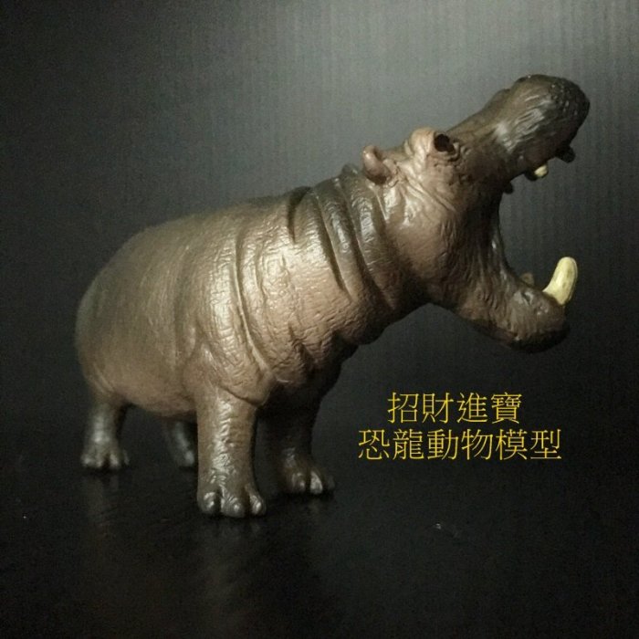 河馬 仿真動物玩具 模型玩具 野生動物園公仔收藏品 ZOO 兒童生日禮物另有售大象斑馬熊貓獅子企鵝羚羊北極熊恐龍AM05