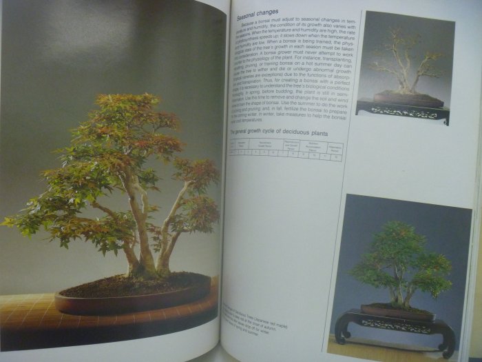 【月界】The Art of Bonsai(絕版)_Professor Amy Liang_梁悅美盆栽藝術〖園藝〗AJS