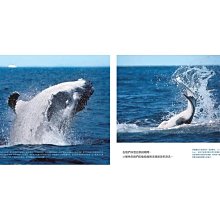 《小光點》小鯨魚找媽媽：南太平洋東加王國的大翅鯨紀實繪本