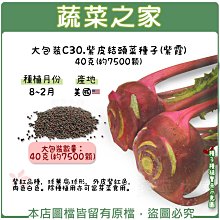 【蔬菜之家滿額免運00C30】大包裝.紫皮結頭菜種子(紫霞)40克(約7500顆)※不適用郵寄掛號※