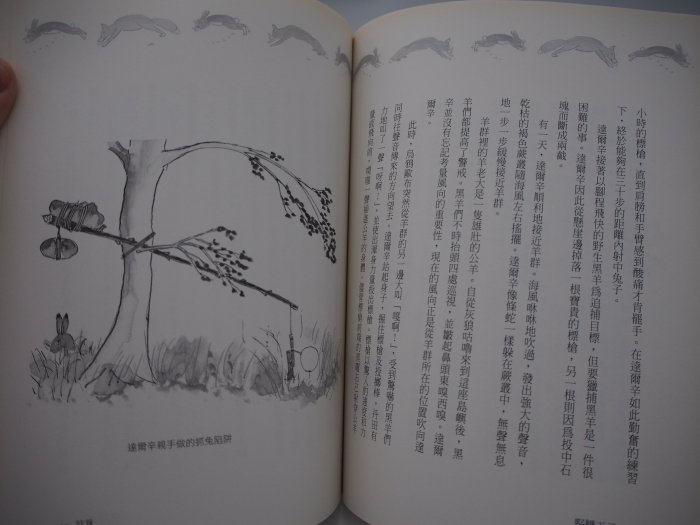 【月界二手書店1S】野蠻王子－初版一刷．自有書（絕版）_C. W. 尼可_序曲文化出版_原價300　〖兒童文學〗AJA