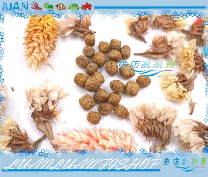 【魚店亂亂賣】美國ZOO MED天然水龜飼料成長配方1kg(補充包)專業玩家的超完美水龜飼料