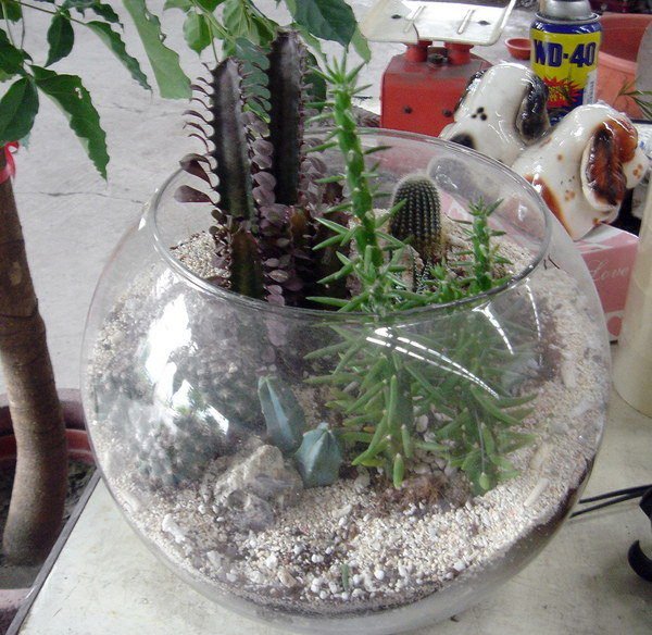 【路卡傢飾～園藝造景】特大40cm 玻璃圓球花器 花瓶 小水缸 魚缸 水景 花盆 流水組
