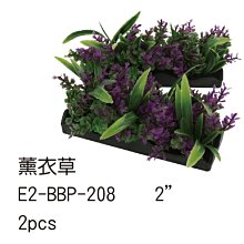 微笑的魚水族☆【假水草 /薰衣草 2吋】(1包2片)