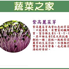 【蔬菜之家滿額免運00J12】紫高麗菜芽種子70公克(芽菜種子)(賣場另有其他芽菜種子)※此商品運費請選宅配※