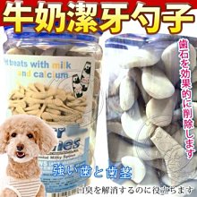 【🐱🐶培菓寵物48H出貨🐰🐹】A-starBones《香濃牛奶》雙頭勺子潔牙骨-500g特價229元自取不打折