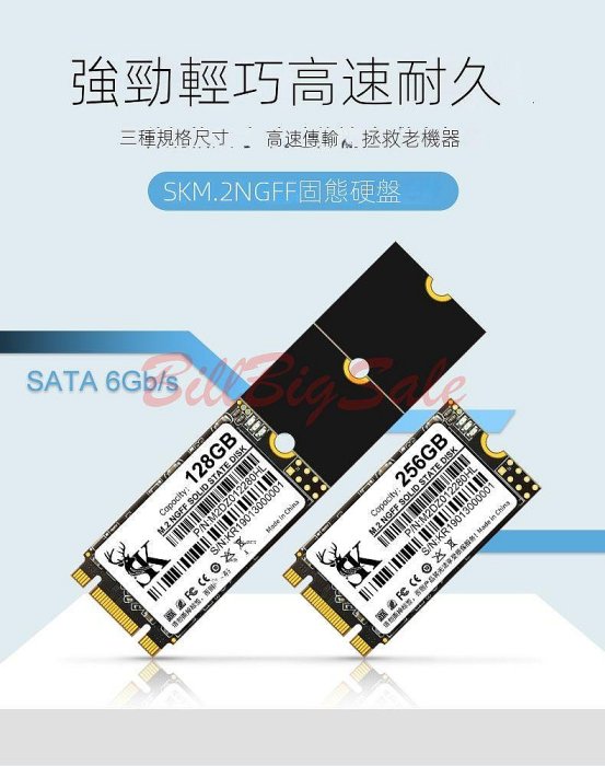 512GB (M.2 NGFF SATA SSD)全新5年保固 512G 2242 2260 2280 固態硬碟