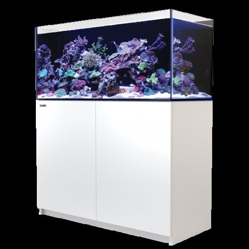 【♬♪貓的水族♪♬】R-D-350B 以色列 Red Sea 紅海  REEFER 350 套缸 黑色