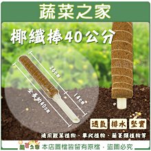 【蔬菜之家001-A215-4】椰纖棒 40公分(塑膠中柱防霉)攀爬類植物.水苔棒.椰纖柱.椰棒
