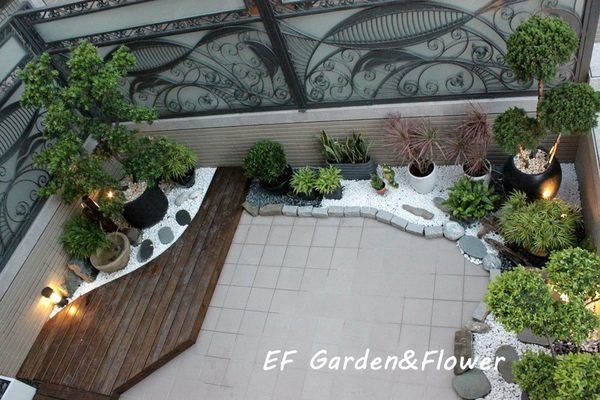 【EF Garden&Flower】羅漢松(大)+水磨石盆 / 桃園中壢景觀園藝設計