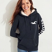 Hollister HCO 現貨 車繡  海鷗 帽T 熊寶寶帽 深藍