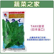 【蔬菜之家滿額免運】A15.TAKII菠菜種子7克(約420顆)(蔬菜種子.葉片大.抗病力強.秋-春栽培容易)