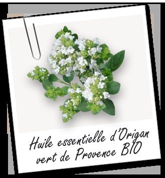 AROMA-ZONE 10-30ml 有機 馬鬱蘭 (牛至) 精油 Origan vert de Provence BIO